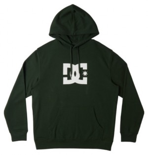 Mikina s Kapucnou DC Shoes DC Star Panske Modre | DC-9530678