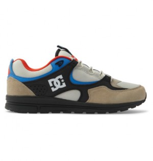 Skate Topanky DC Shoes Kalis Lite Panske Modre Biele | DC-3820974