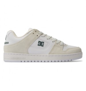 Tenisky DC Shoes Manteca SE Panske Biele | DC-3856127