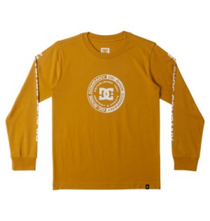 Tricko DC Shoes DC Corpo Long Sleeve Detske Žlté | DC-6318405