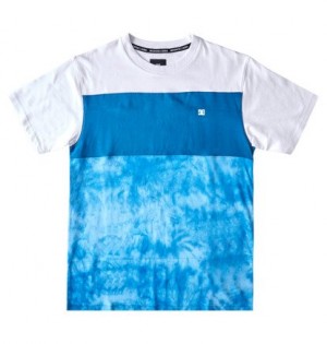 Tricko DC Shoes Deep End Short Sleeve Panske Modre | DC-1065983