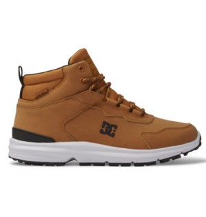 Zimne Topanky DC Shoes Mutiny Leather Panske Hnede Čierne | DC-0213685