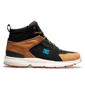 Zimne Topanky DC Shoes Mutiny Water Resistant Leather Panske Čierne Hnede Zelene | DC-8901237