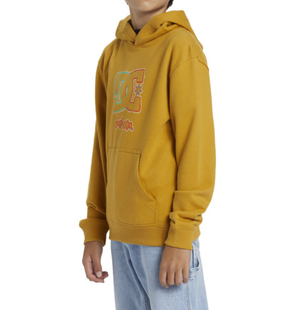 Mikina s Kapucnou DC Shoes New Deals Pullover Detske Žlté | DC-7632940