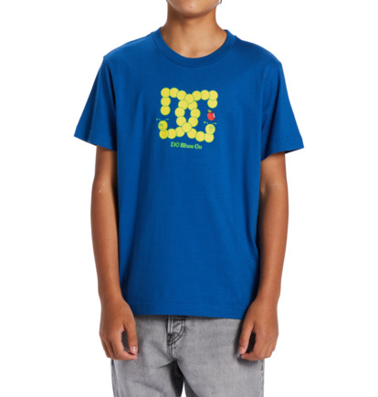 Tricko DC Shoes Bookworm Detske Modre | DC-1350648