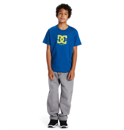 Tricko DC Shoes Bookworm Detske Modre | DC-1350648