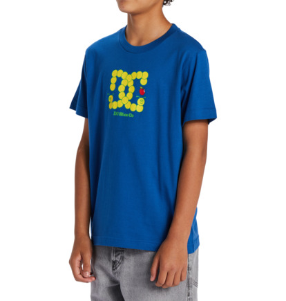 Tricko DC Shoes Bookworm Detske Modre | DC-1350648