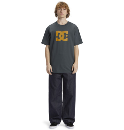 Tricko DC Shoes DC Star Panske Námornícka Modrá | DC-4926807