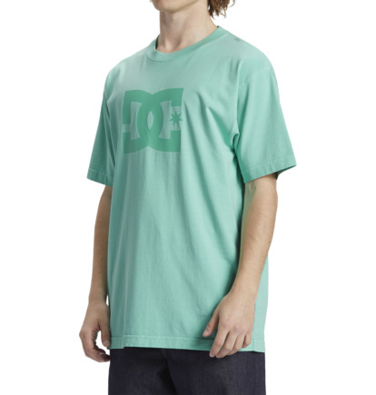 Tricko DC Shoes DC Star Panske Zelene Modre Svetlomodrá | DC-2387509