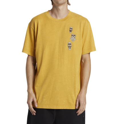 Tricko DC Shoes Open Wide Short Sleeves Panske Žlté | DC-5971064